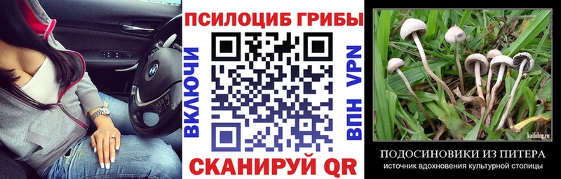 Галлюциногенные грибы мицелий  хочу   darknet какой сайт  Камень-на-Оби 